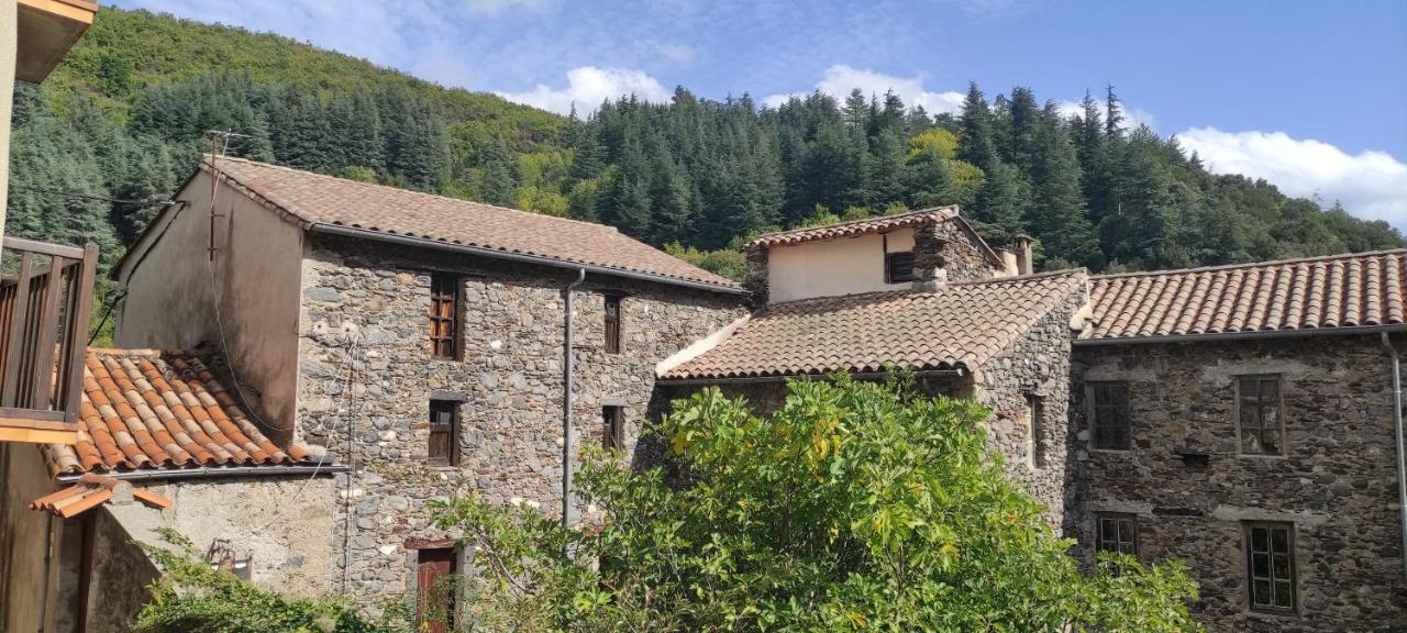 Gîte d'Aigoual Valleraugue Extérieur photo